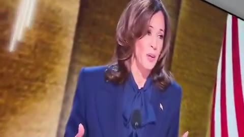 SteveWillDoit smashes his television after Vice President Kamala Harris