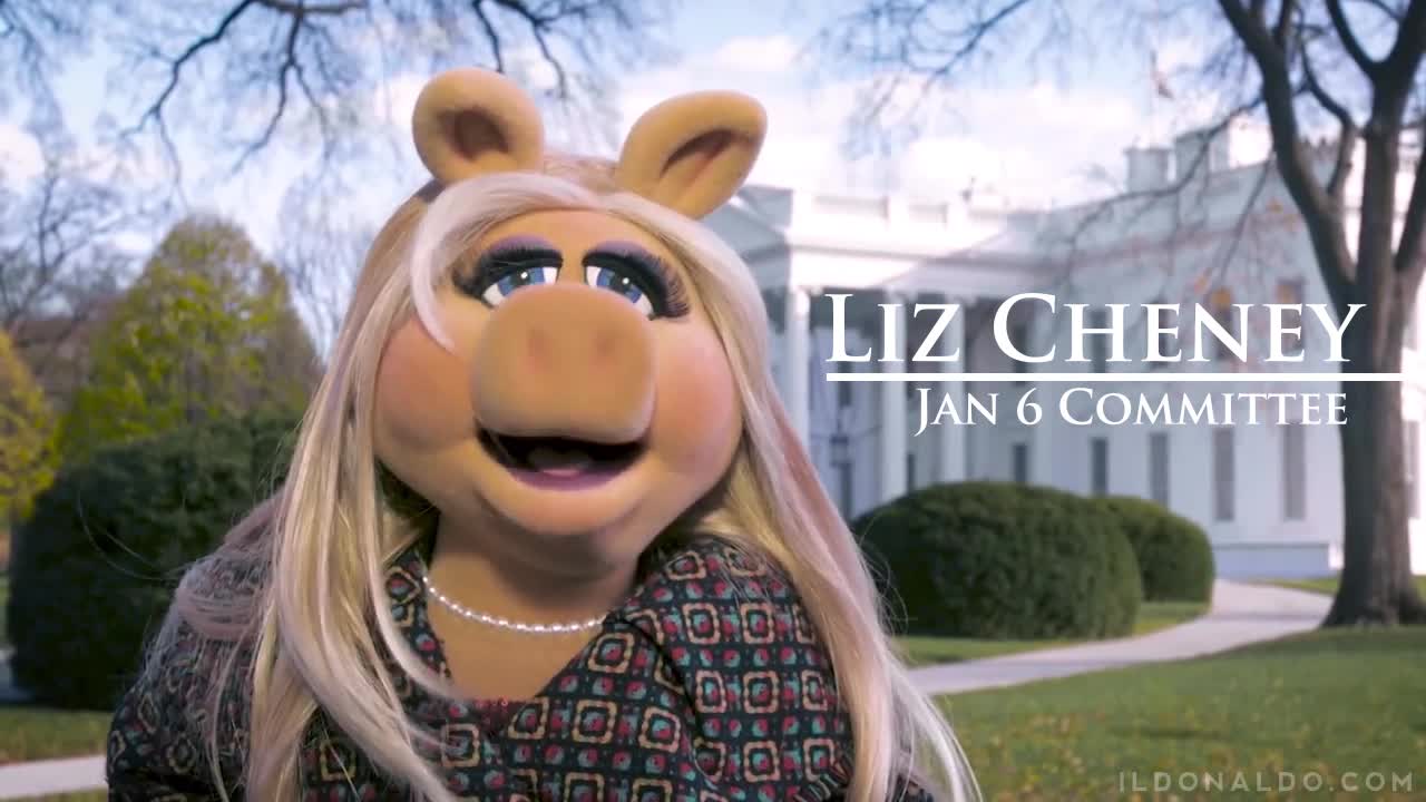 Who did this?? STOP IT!!! THAT IS NOT LIZ CHENEY AND YOU KNOW IT!!!🤣🤣🤣