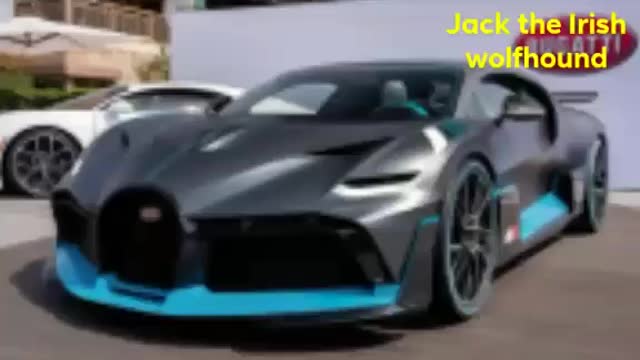 pictures of cars by jack the Irish wolfhound