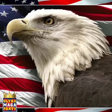 #1 Enemy Of We The People | 🇺🇸 (Check Description)