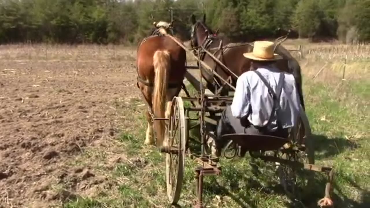 Horse Drawn Gardening with Titus Morris