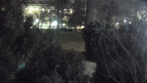 7196USCG00EastfrontSenateEggE_2021-01-06_20h38min11s453ms.mp4