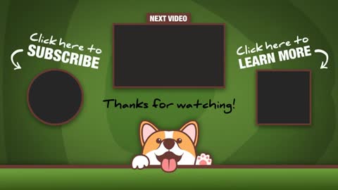 Adorable_Dachshund_puppy_will_steal_your_heart_#Shorts(360p).mp4