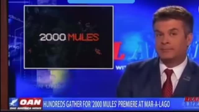1294. 🛑OANN News reports on the #2000Mules documentary!