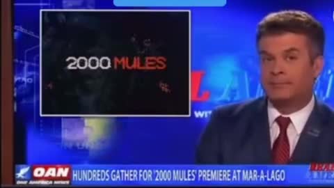 1294. 🛑OANN News reports on the #2000Mules documentary!