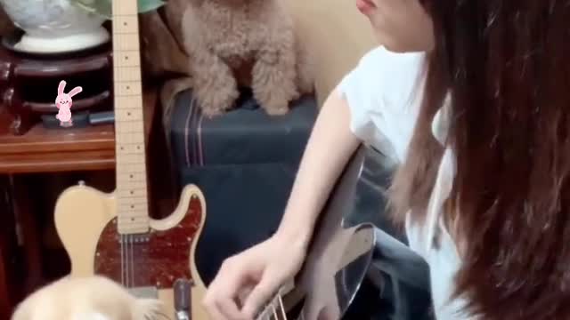 MEMORIES什么是温柔?“温柔就是用筷子夹豆腐的感觉”