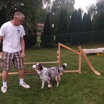 Hurdles Sit to Jump E