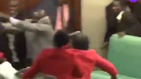 Uganda's Parliament erupts into a Fight!