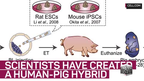 Genetically Diminished Humans