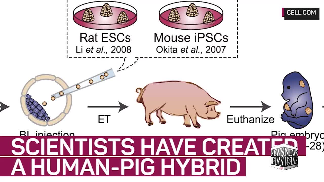 Genetically Diminished Humans