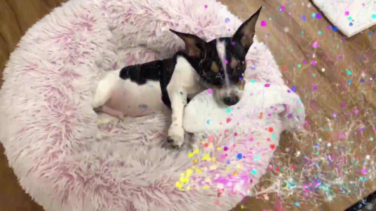Slow Motion Play