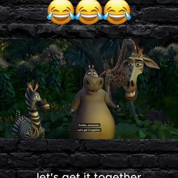 Even Madagascar Knew About Diddy