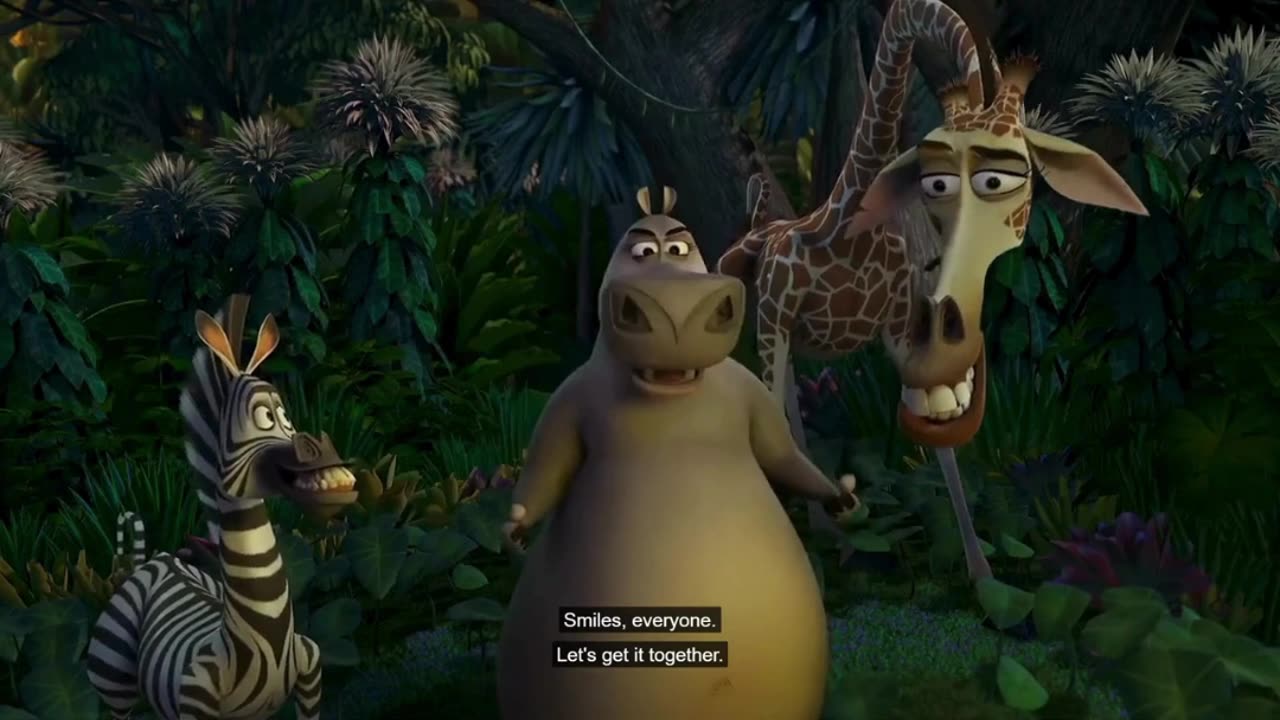 Even Madagascar Knew About Diddy