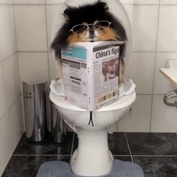 😆😆😆 Here quiet doing my physiological needs 😆😆😆