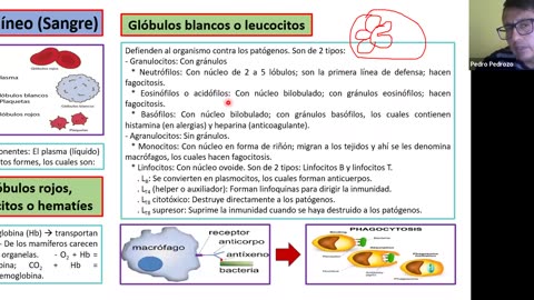 ADC SEMESTRAL 2022 Semana 04 BIOLOGIA