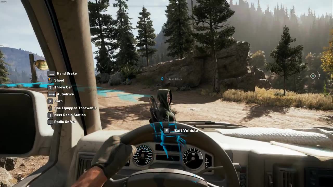 Far Cry 5