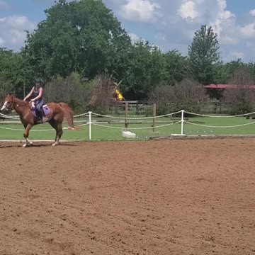 Jumping My Barrel Horse