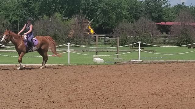 Jumping My Barrel Horse