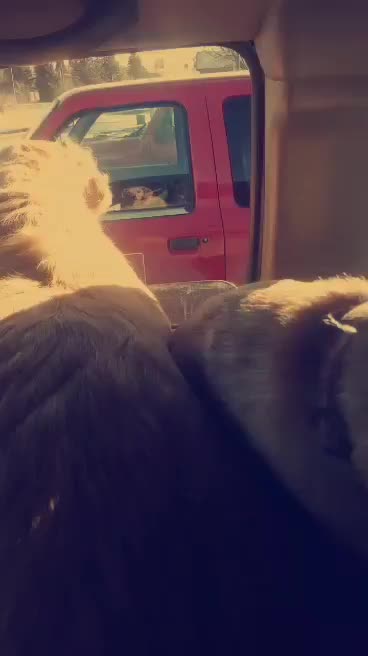 A day in the life of Max