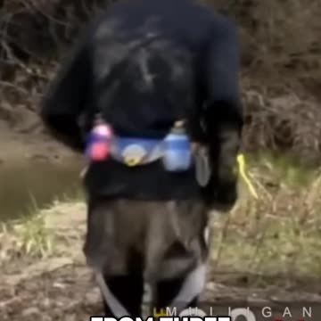 From 1 to 6 Miles My Journey to Becoming a Stronger Runner