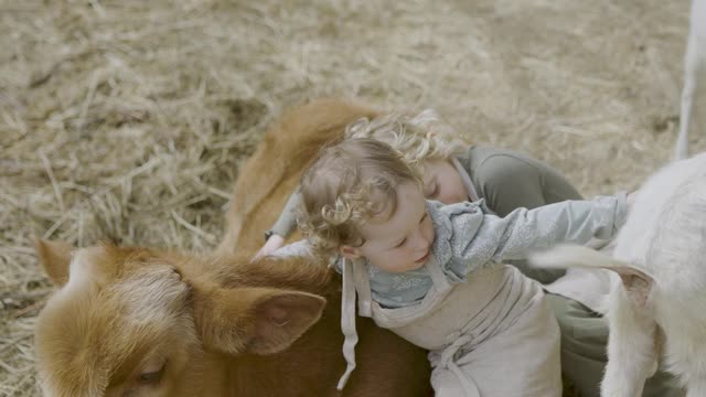 ittle-girls-hugging-a-cattle