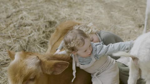 ittle-girls-hugging-a-cattle