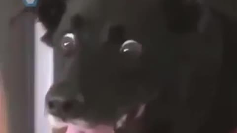 This brother's expression is really classic