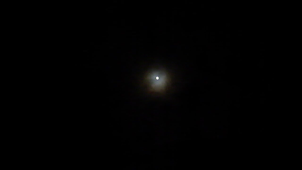 Do People Really Go Crazy During the Full Moon?