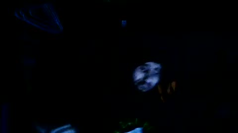 [Cyraxx Youtube 2020-12-24] letter to my child