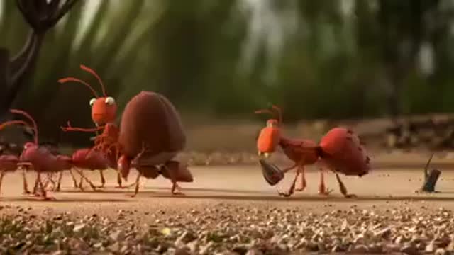 It's smart to travel in groups