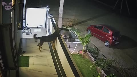 These Terrifying Events Caught on Camera Need Explaining