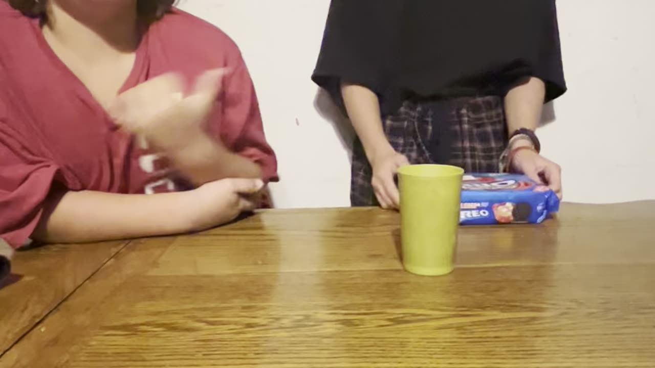 Taste test in the hot chocolate Oreo cookies