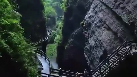 Relaxing Music, Meditation Music, Nature, Stress relief nature