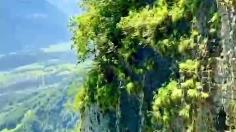 it interprets life vividly and vividly.
