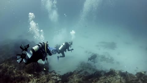 Scuba Diving Adventure in West Palm Beach, FL