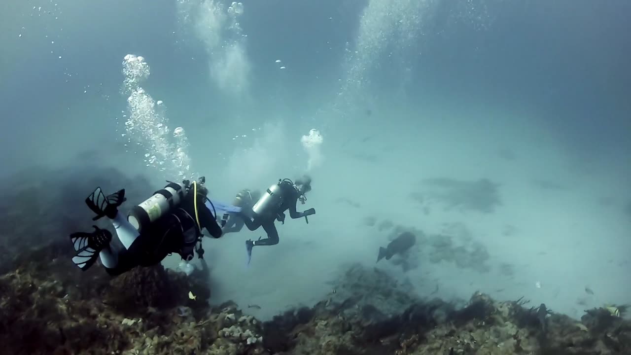 Scuba Diving Adventure in West Palm Beach, FL