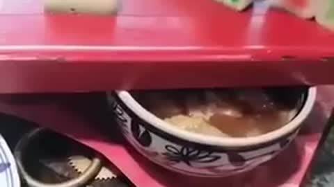 Specially decorative dishes beyond taste alone