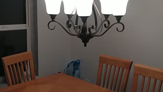 New Dinning Room Chandelier