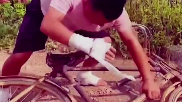 Best Pranks! Fun and entertaining!