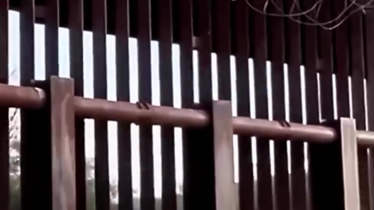 Veteran tries to protect our border ALONE