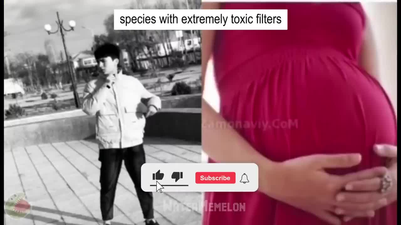 Bad Day...Funny Videos