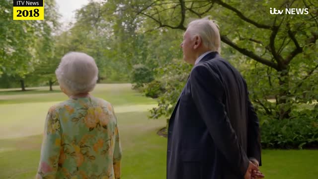 The Queens sense of humour remembered from offmic quips to tea with Paddington