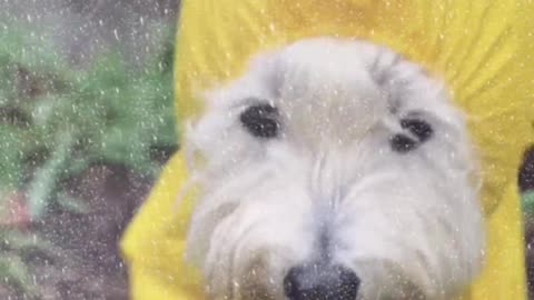 Ready For A Rainy Day?