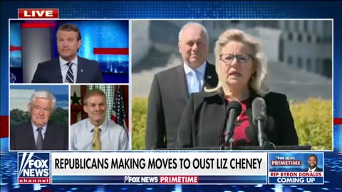 Rep. Jordan: GOP Has Votes to Oust Liz Cheney