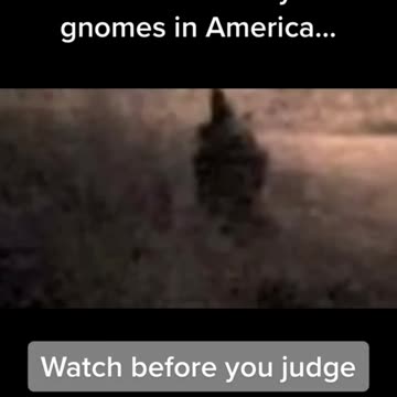 Gnomes