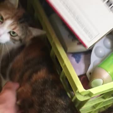 Craft shop is a mess