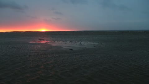 Low Tides in Maryland