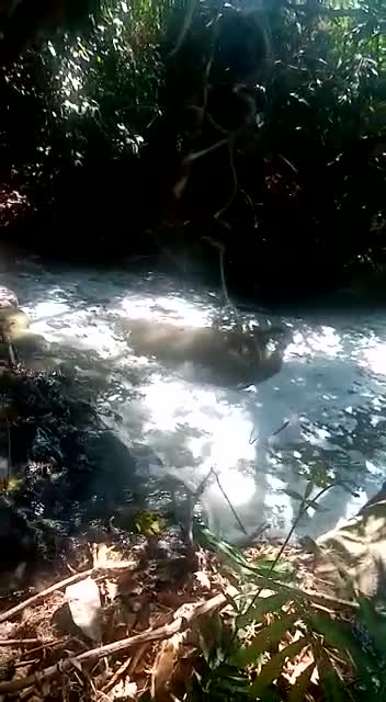 quebrada contaminada