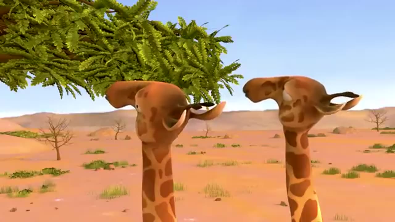 Funny Animation Video...
