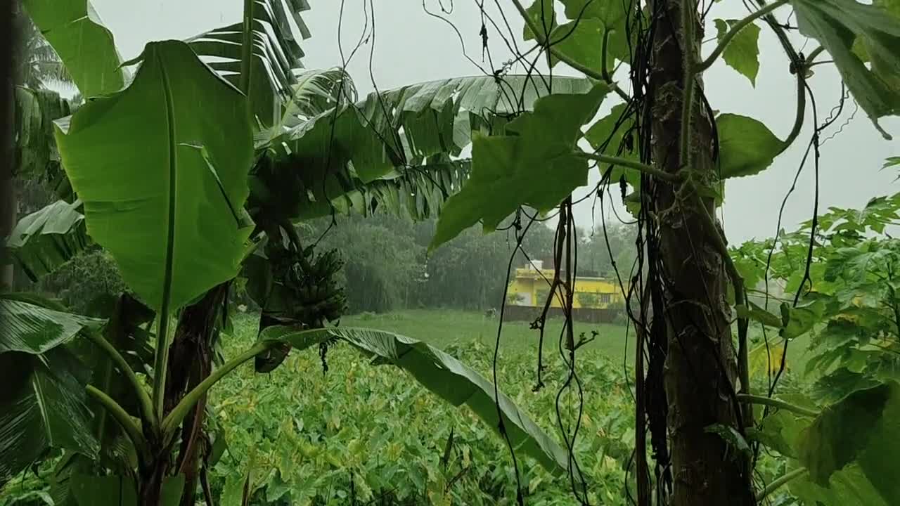 Preciso de um lugar desse!
